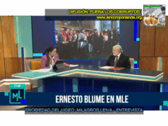 CONSTITUCIONALISTA ERNESTO BLUME SEÑALA QUE DELIA ESPINOZA HA INCURRIDO EN UNA SERIE DE IRREGULARIDADES