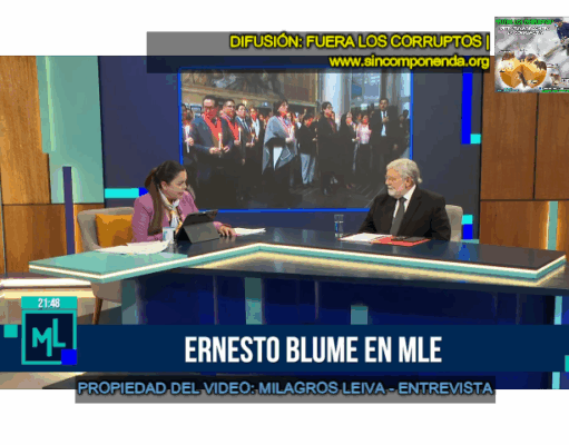 CONSTITUCIONALISTA ERNESTO BLUME SEÑALA QUE DELIA ESPINOZA HA INCURRIDO EN UNA SERIE DE IRREGULARIDADES