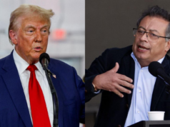 GALLITO QUE MUCHO CACAREA, POCO PICA