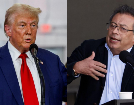 GALLITO QUE MUCHO CACAREA, POCO PICA