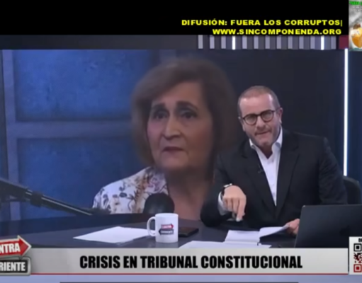 EXPLOTÓ EL TC: DENUNCIA PRESIDENTE LUZ PACHECO