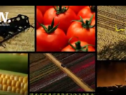 JAPÓN ENTRA A COMPETIR CON CHINA Y EEUU PROYECTO MAJES SIGUAS