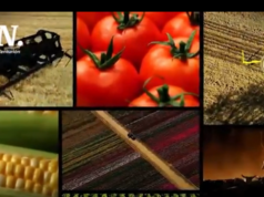 JAPÓN ENTRA A COMPETIR CON CHINA Y EEUU PROYECTO MAJES SIGUAS