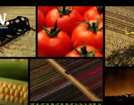 JAPÓN ENTRA A COMPETIR CON CHINA Y EEUU PROYECTO MAJES SIGUAS