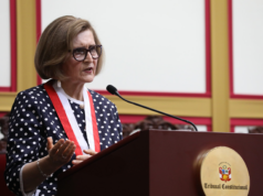 DIRECTORA MOCHASUELDO EN EL TC: PRESIDENTE DEL TC DENUNCIÓ PENALMENTE A HIJA DE FRANCISCO TÁVARA, MIEMBRO DE LA JNJ