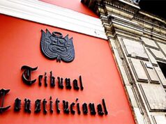 ¡CUIDADO! DEL TC SE FILTRAN COMUNICACIONES DE BORRADORES A LA PRENSA SOBRE CASOS EMBLEMÁTICOS QUE AÚN NO ESTÁN DEFINIDOS.