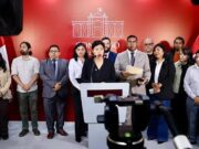 UNA IZQUIERDA DESTRUCTIVA PRESIDIRÁ LA COMISIÓN DE CONSTITUCIÓN EN LA CÁMARA DE DIPUTADOS