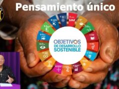 LAS OENEGERAS SON INSTRUMENTOS DE LA AGENDA GLOBAL