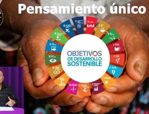 LAS OENEGERAS SON INSTRUMENTOS DE LA AGENDA GLOBAL