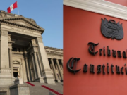 JUECES CAVIARES NO HACEN CASO AL TC Y SERÍAN DESTITUIDOS