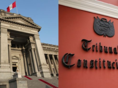JUECES CAVIARES NO HACEN CASO AL TC Y SERÍAN DESTITUIDOS