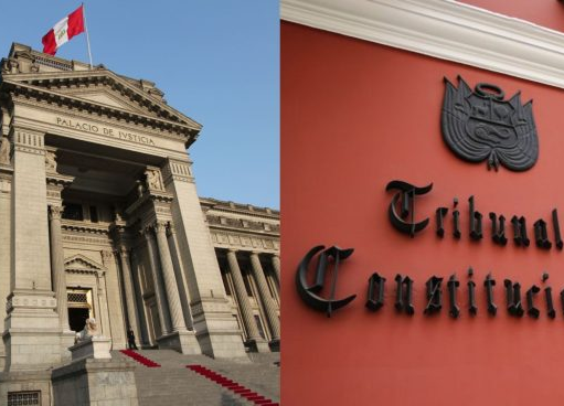 JUECES CAVIARES NO HACEN CASO AL TC Y SERÍAN DESTITUIDOS