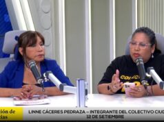 NI GUERRILLA ARMADA NI VIOLENCIA POLÍTICA, EN EL PERÚ HUBO TERRORISMO