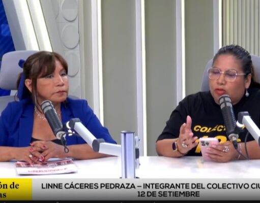 NI GUERRILLA ARMADA NI VIOLENCIA POLÍTICA, EN EL PERÚ HUBO TERRORISMO