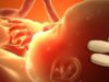 LÍDERES CRISTIANOS SUSCRIBEN DECLARACIÓN EN DEFENSA DE LA VIDA QUE PRETENDE HACER FRENTE A LA FUERTE EXPANSIÓN DEL ABORTO QUÍMICO
