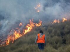 ¿POR QUÉ LOS INCENDIOS FORESTALES EN DIVERSAS PARTES DEL PAÍS? ¿QUÉ HAY DETRÁS DE ESTOS INCENDIOS?