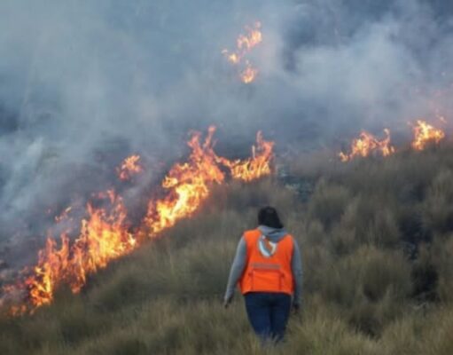 ¿POR QUÉ LOS INCENDIOS FORESTALES EN DIVERSAS PARTES DEL PAÍS? ¿QUÉ HAY DETRÁS DE ESTOS INCENDIOS?