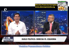CLARITO UNA DESCRIPCIÓN DE LA IZQUIERDA EN DIPUTADOS